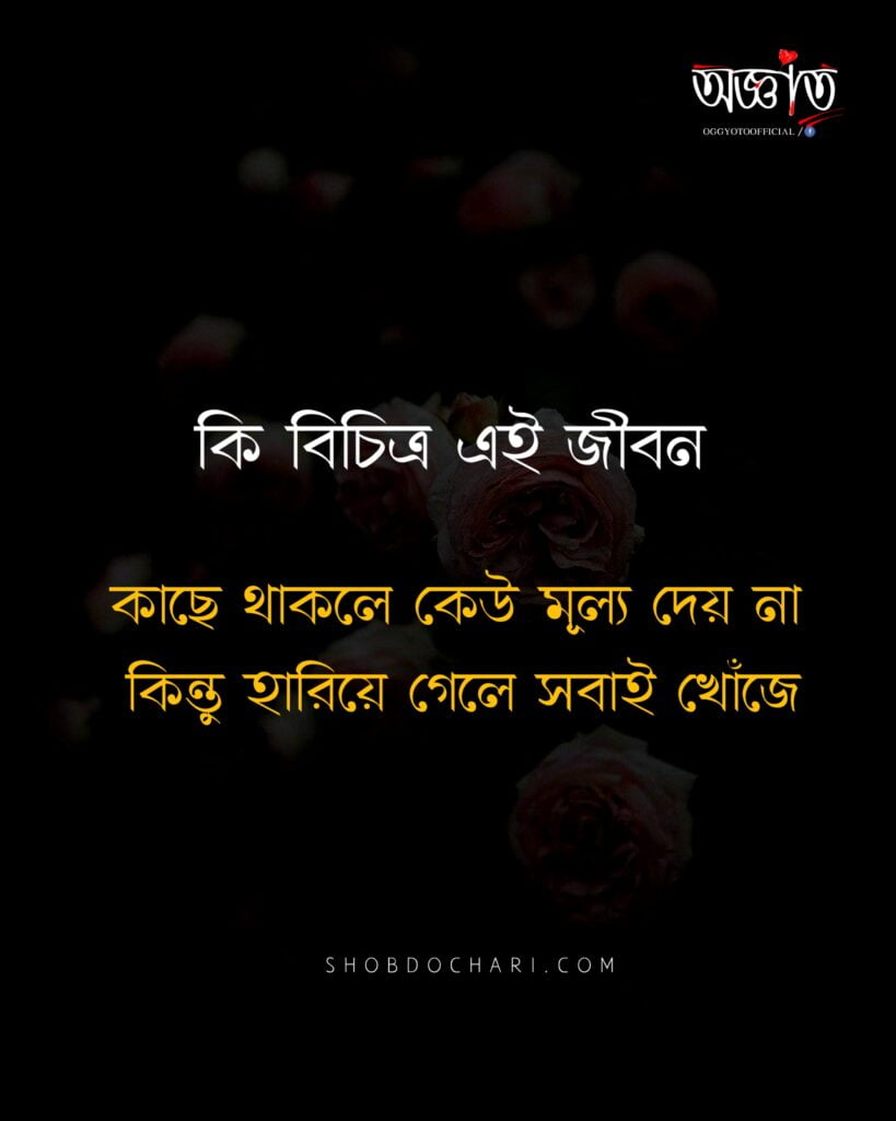 Best sad quotes in bengali 8