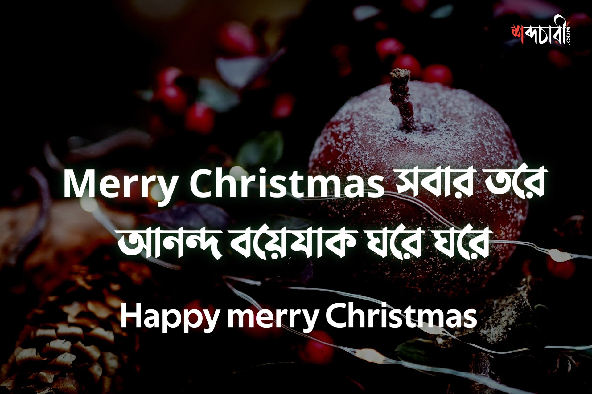 Merry Christmas 2022 SMS