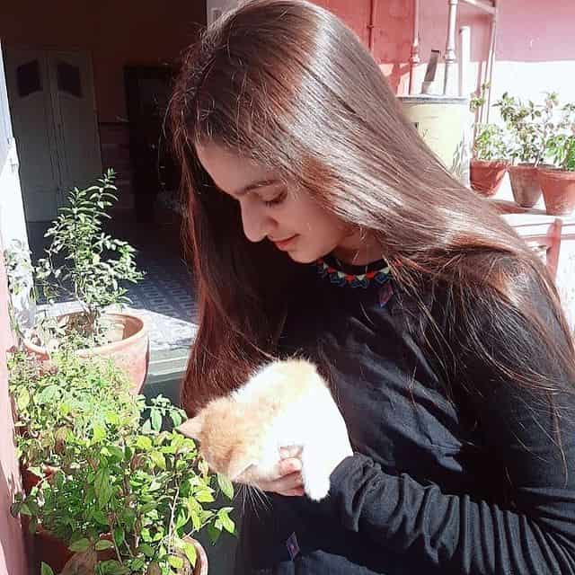 Anoushey Rania Khan Dhoop ki Deewar web series