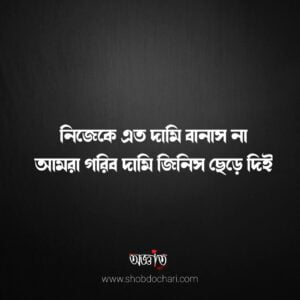 Bengali status for facebook