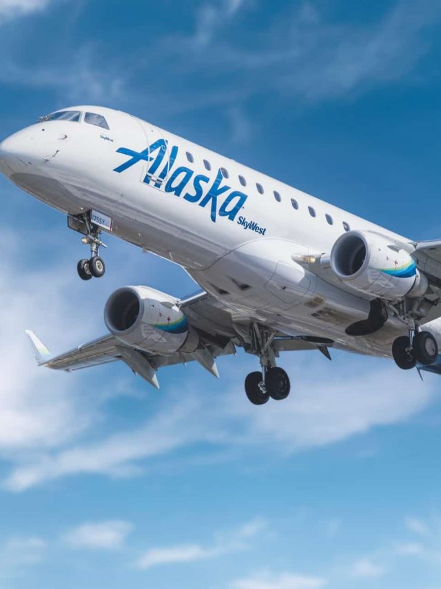 Woman Expelled From Alaska Airlines Flight for Offensive Outfit