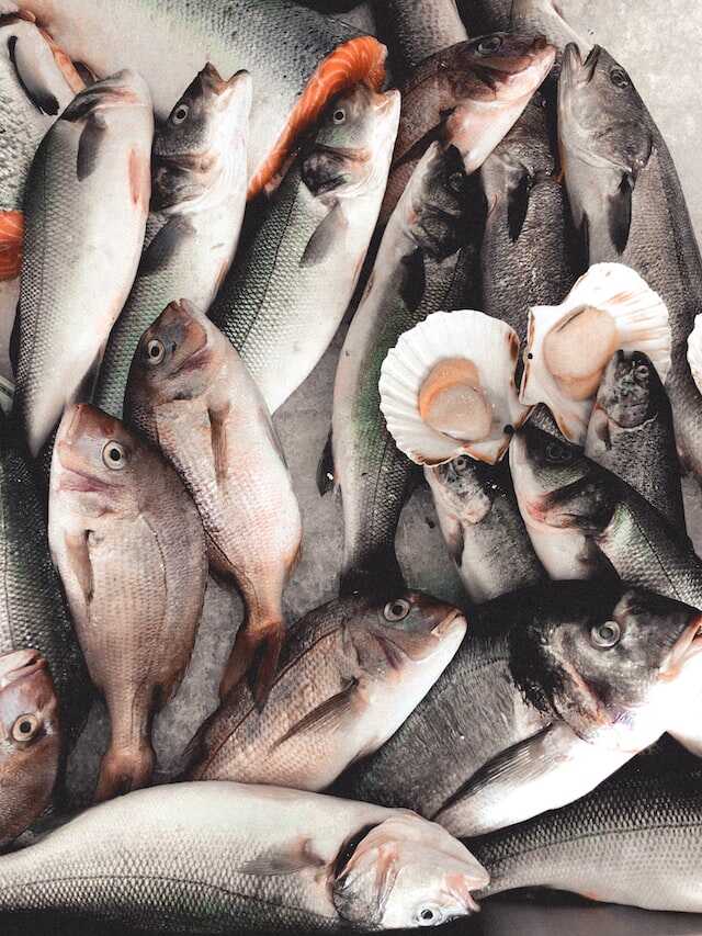Name Change for America’s Most Hated Fish